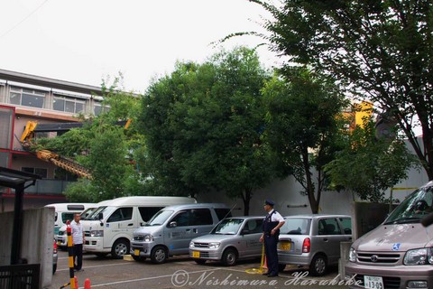 IMG_1907.jpg