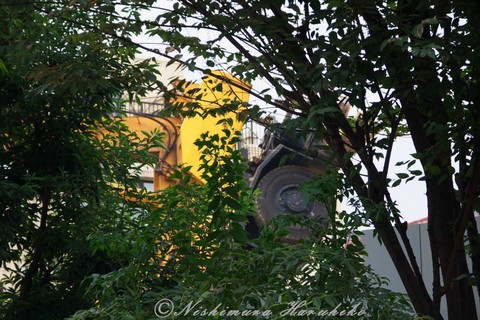 IMG_1909.jpg