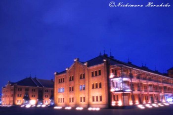 IMG_2251.jpg
