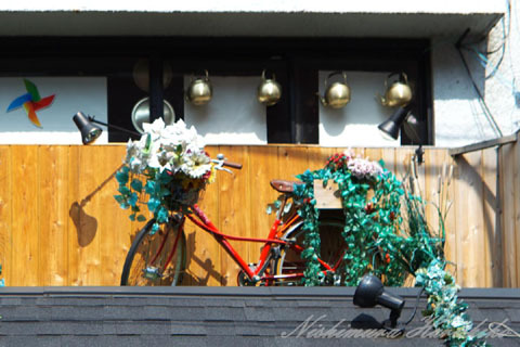 IMG_2290.jpg