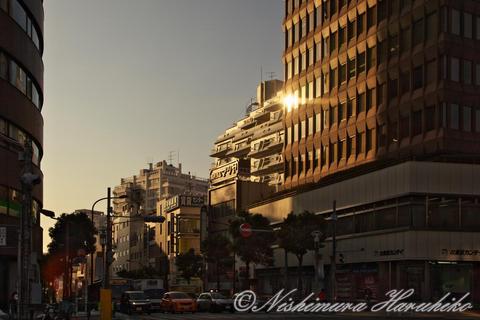 IMG_2419.jpg