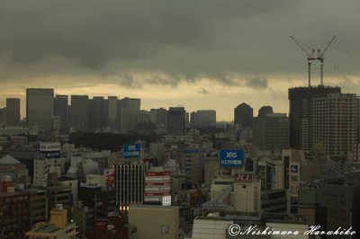 IMG_2533.jpg