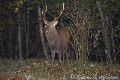 IMG_2797.jpg