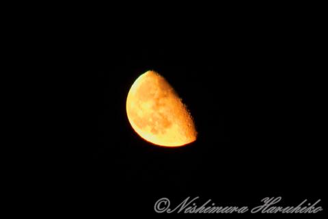 IMG_2879.jpg