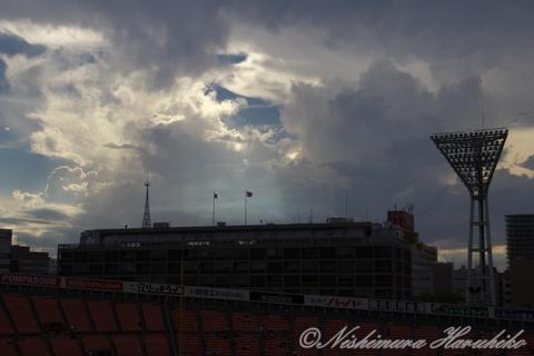 IMG_2978.jpg