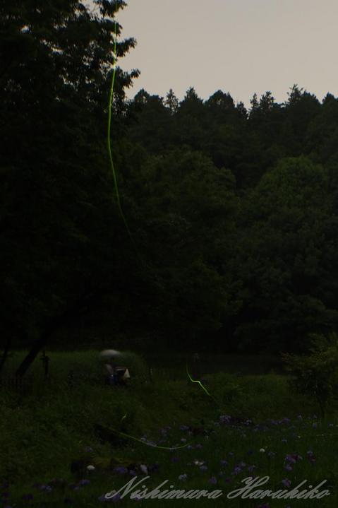 IMG_3164.jpg
