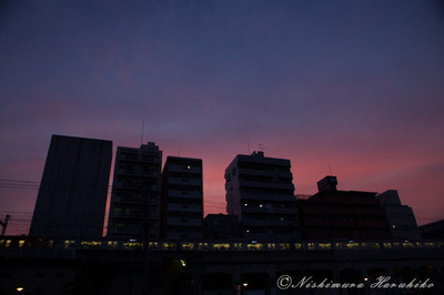 IMG_3170.jpg
