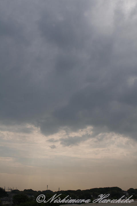 IMG_3246.jpg