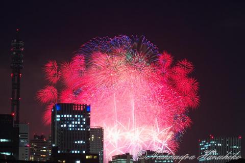 IMG_3696.jpg