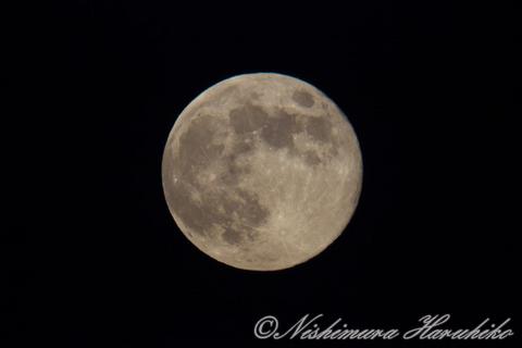 IMG_3732.jpg