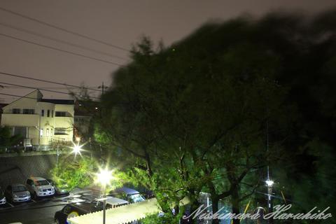 IMG_4142.jpg