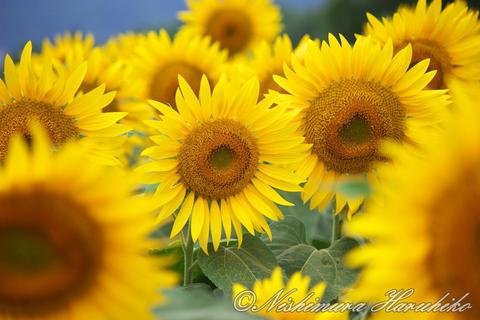IMG_4187.jpg