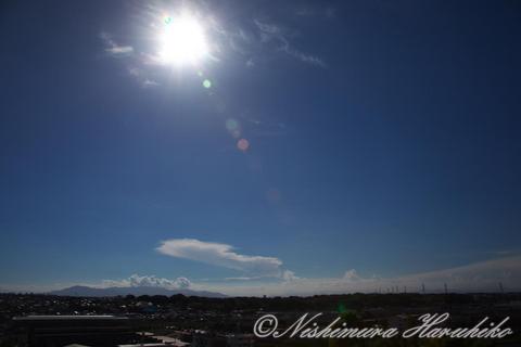 IMG_4241.jpg