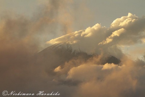 IMG_4409.jpg