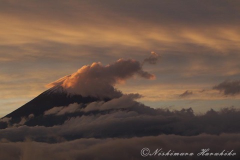 IMG_4431.jpg