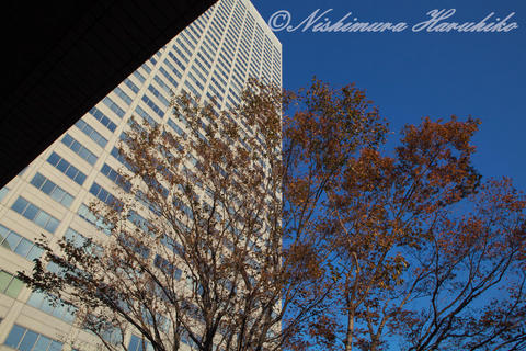 IMG_4640.jpg
