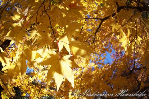 IMG_4829.jpg