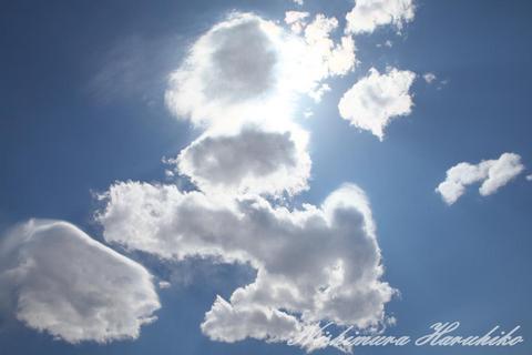 IMG_4864.jpg