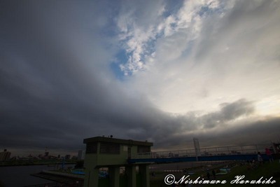 IMG_4864.jpg