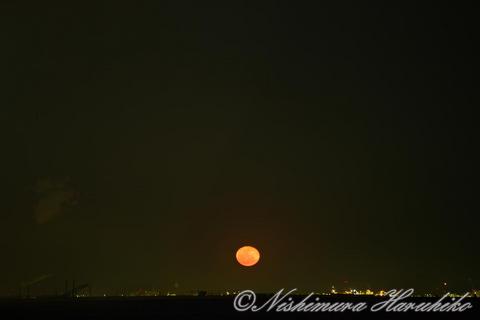 IMG_4870.jpg