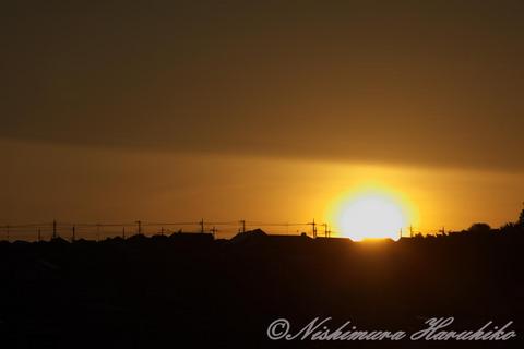 IMG_5186.jpg