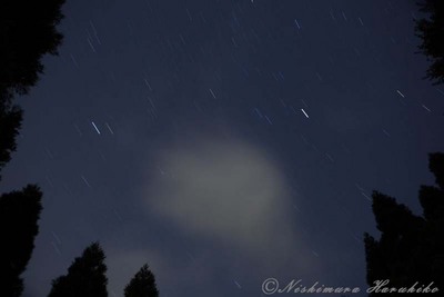 IMG_5267.jpg