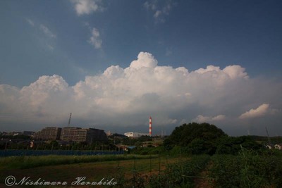IMG_5296.jpg