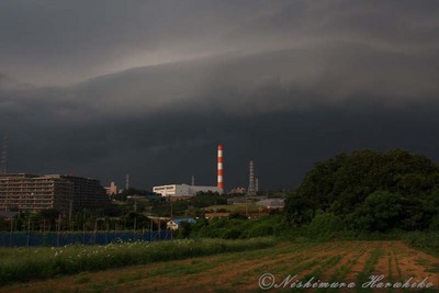 IMG_5310.jpg