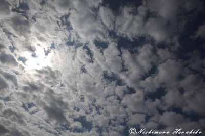 IMG_5341.jpg