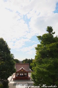 IMG_5555.jpg