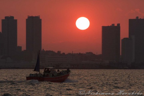 IMG_5598.jpg