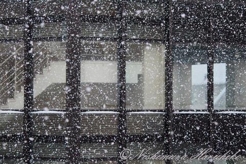 IMG_6121.jpg