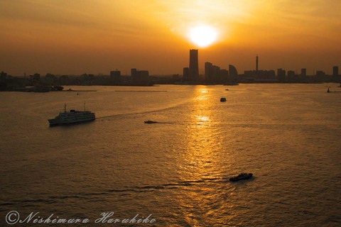 IMG_6126.jpg