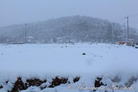 IMG_6140.jpg
