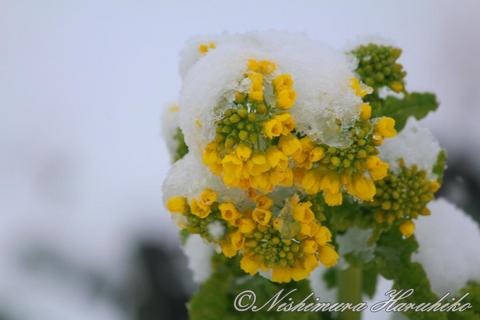 IMG_6160.jpg