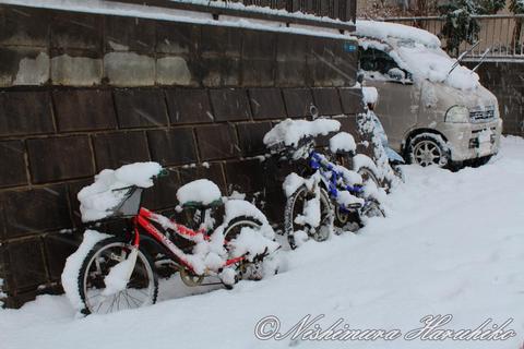 IMG_6182.jpg