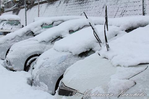 IMG_6192.jpg