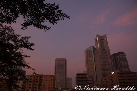 IMG_6247.jpg
