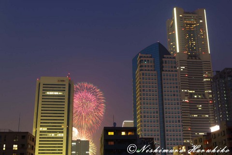 IMG_6256.jpg