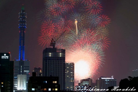 IMG_6273.jpg