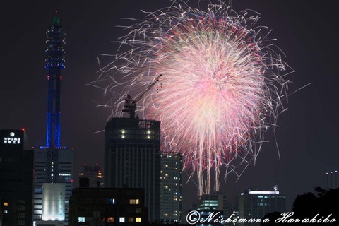 IMG_6277.jpg