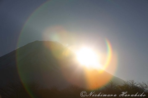 IMG_6472.jpg