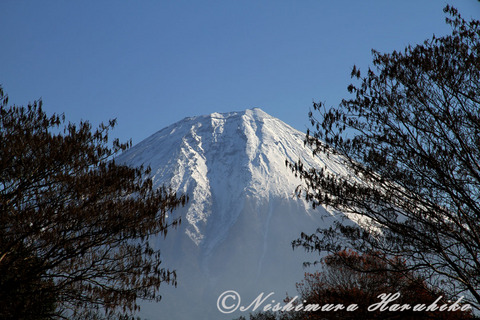 IMG_6564-a.jpg