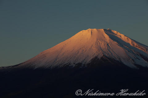 IMG_6565.jpg