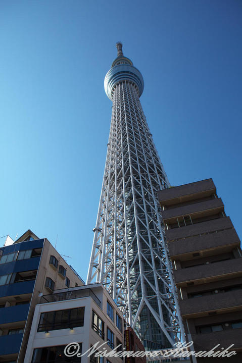 IMG_6903.jpg