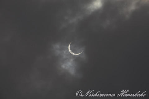 IMG_7027.jpg