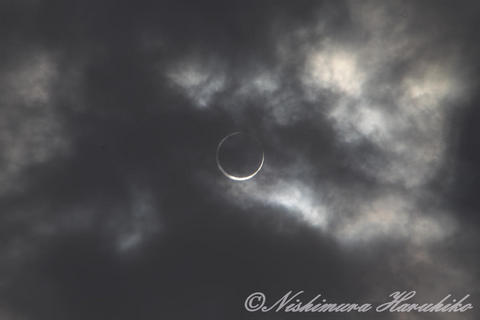IMG_7072.jpg