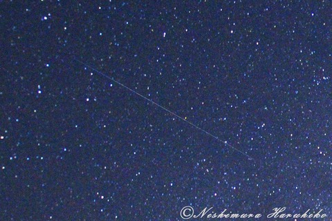 IMG_7095-01-150px-b.jpg