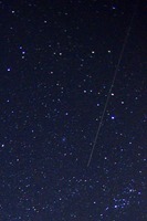 IMG_7104-01-150px-b.jpg