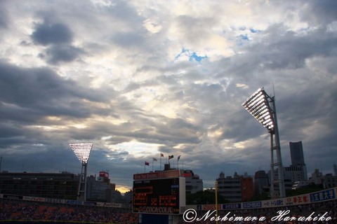 IMG_7118.jpg